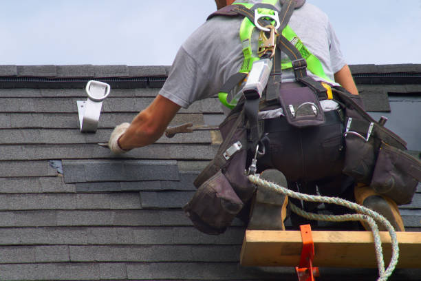 Professional Siding Installation & Repair in La Fayette, AL