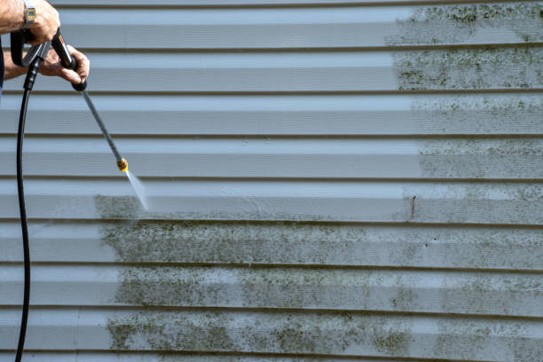 Affordable siding repair and maintenance services in La Fayette, AL