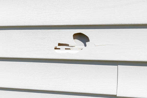 Best Engineered Wood Siding  in La Fayette, AL