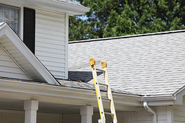 Best Aluminum Siding Installation  in La Fayette, AL